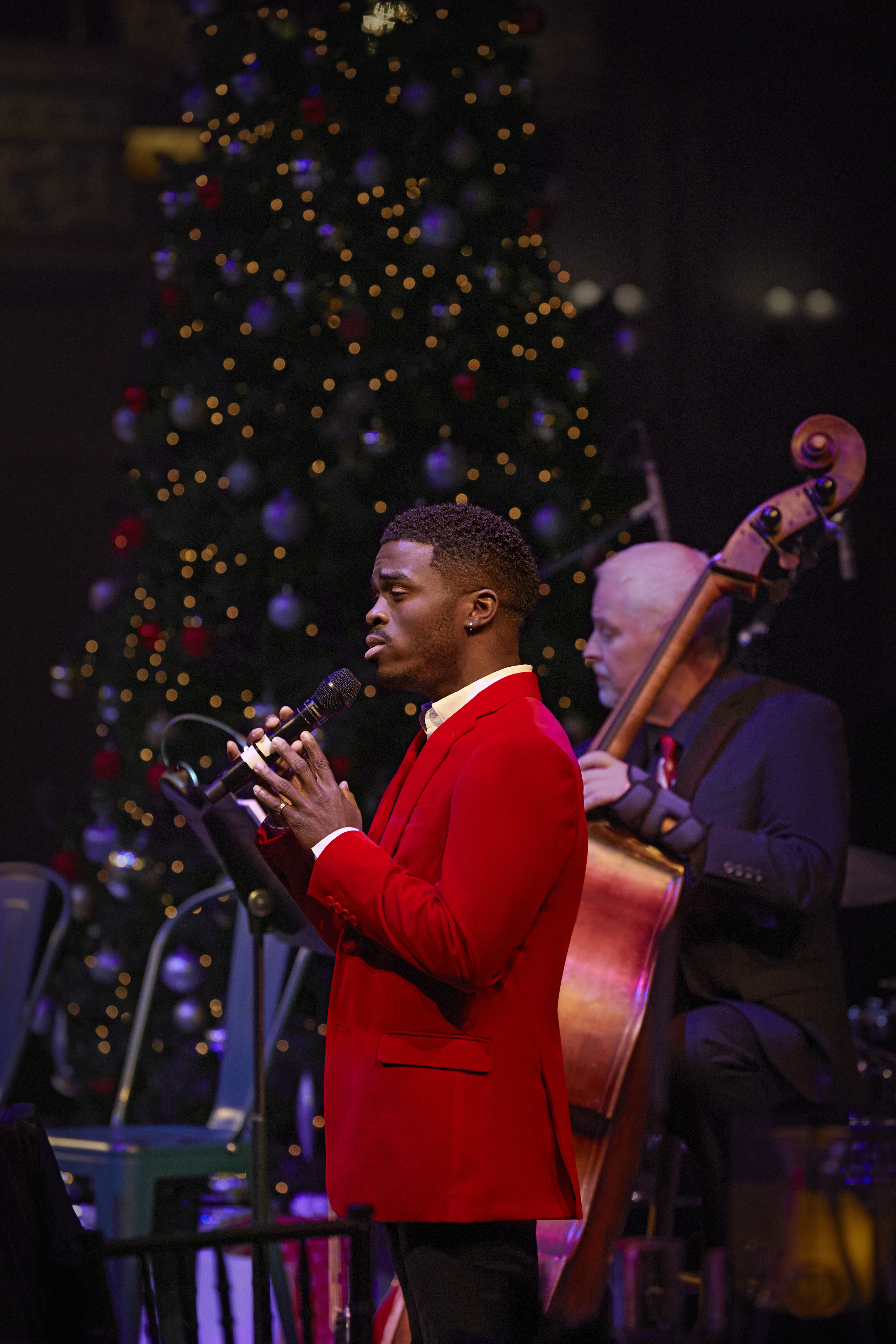 Honeybee christmas Cabaret