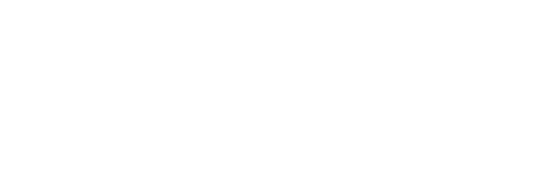 Disney Summer Classics